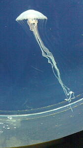2016050611430001.jpg