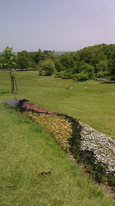 2016052210510000.jpg
