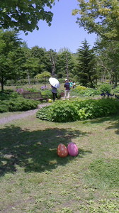 2016052210510001.jpg