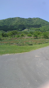 2016052210550000.jpg