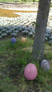 2016052210560000.jpg