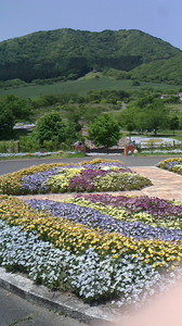 2016052211030000.jpg