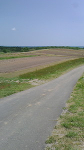 2016052211080000.jpg