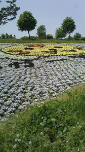 2016052211080002.jpg