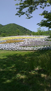 2016052211170000.jpg