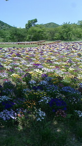 2016052211190000.jpg