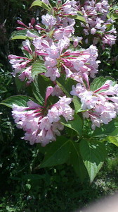 2016052211220000.jpg
