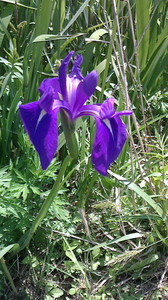 2016052211230000.jpg