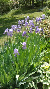 2016052211240000.jpg