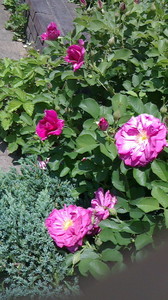 2016052211280000.jpg