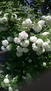 2016052211280001.jpg
