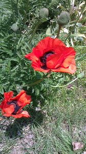 2016052211340000.jpg
