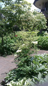 2016052211370000.jpg