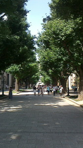 2016080509420000.jpg