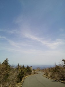 IMG_20170503_113929.jpg