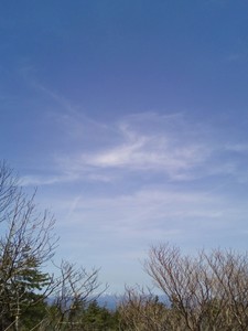 IMG_20170503_113944.jpg