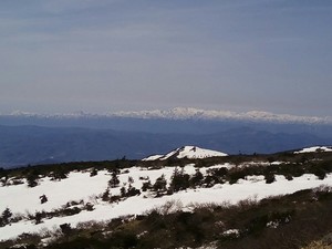 IMG_20170503_124701.jpg