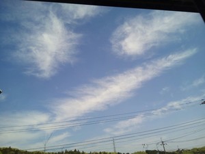 IMG_20170505_084723.jpg