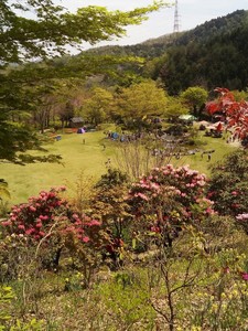 IMG_20170505_103903.jpg