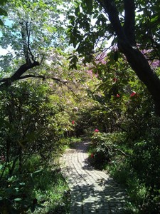 IMG_20170505_104548.jpg