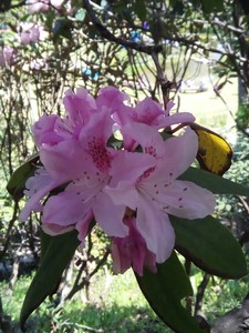 IMG_20170505_104711.jpg