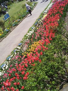 IMG_20170505_105110.jpg