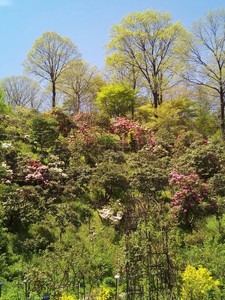 IMG_20170505_112920.jpg