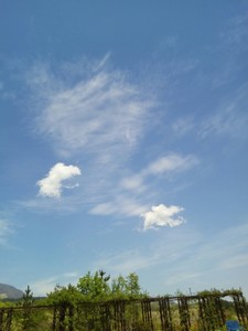 IMG_20170505_113005.jpg