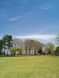 IMG_20170505_113041.jpg