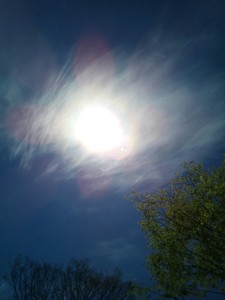 IMG_20170505_115133.jpg