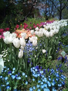 IMG_20170505_122121.jpg