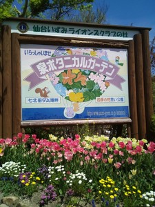 IMG_20170505_122615.jpg