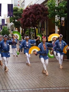 IMG_20170514_152248.jpg