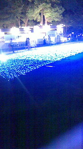 NEC_0914.JPG