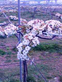 080501_1256~001.jpg