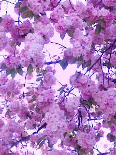 100509_0728~001.jpg